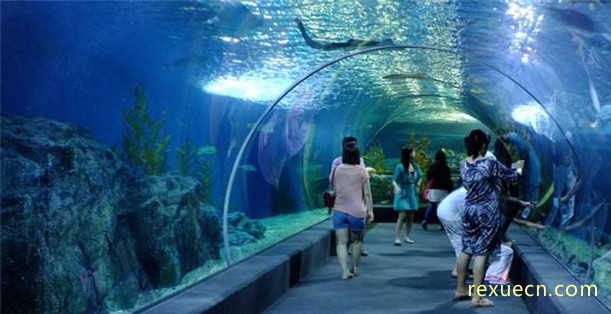 曼谷海洋生命水族馆