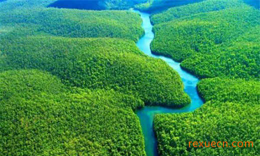 亚马孙热带雨林