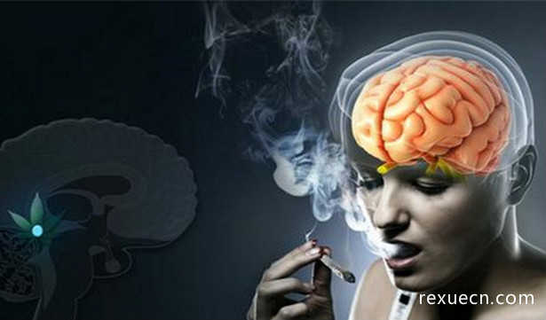 抽烟损害大脑