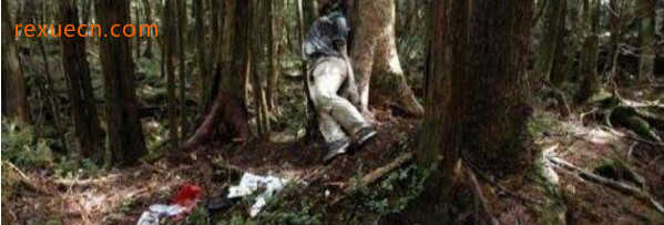 日本最恐怖的地方排名 富士山自杀森林尸体比树还多
