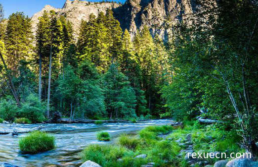 世界十大最受欢迎的国家公园 塞伦盖蒂国家公园位居第一