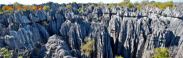 磬吉国家公园 - 马达加斯加