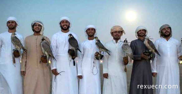 世界上最昂贵的宠物，迪拜的富豪们都是养鹰隼炫富