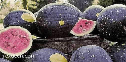 世界上10大最昂贵的水果，日本黑皮西瓜第一贵！