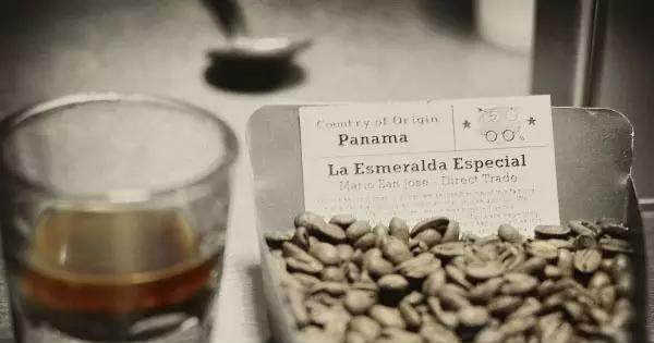 世界上最贵的咖啡排名前十位